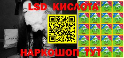 ешки Владимир